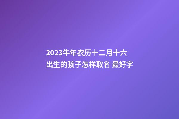 2023牛年农历十二月十六出生的孩子怎样取名 最好字